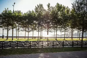  &copy;&nbsp;Фото Elena G, unsplash.com