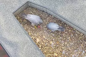  &copy;&nbsp;Фото предоставлено пресс-службой Уралсиба