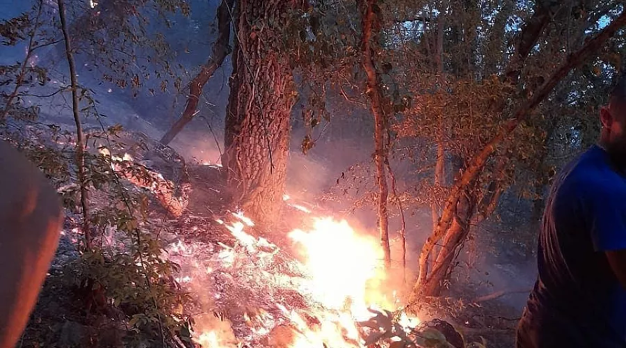  &copy;&nbsp;Фото из инстаграма начальника МБУ ПАСС &laquo;Служба спасения&raquo; Новороссийска Алексея Одерова, instagram.com/alekseioderov/