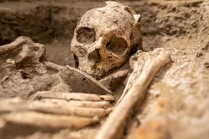  &copy;&nbsp;Фото пресс-службы фонда &laquo;Вольное Дело&raquo;