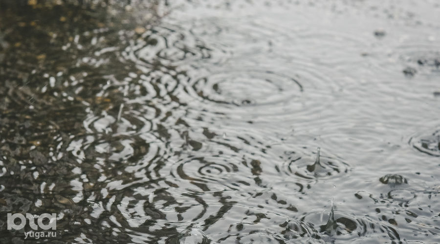  &copy;&nbsp;Фото Елены Синеок, Юга.ру