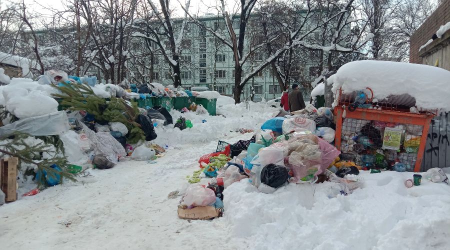  © Фото Ярославы Гуляевой, Юга.ру