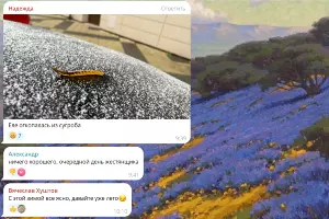  &copy;&nbsp;Скриншот из телеграм- канала &laquo;Туподар&raquo;