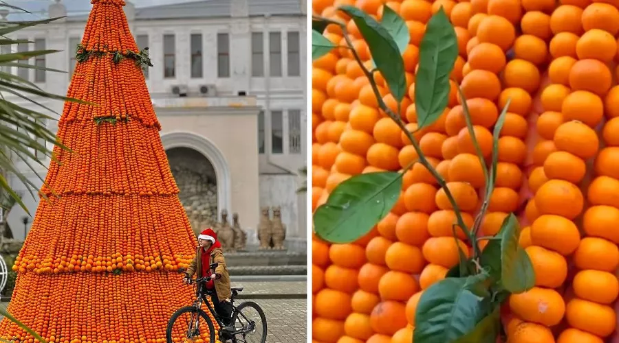  &copy;&nbsp;Скриншоты фото из телеграм-канала &laquo;Че происходит?! Сочи/Сириус&raquo;