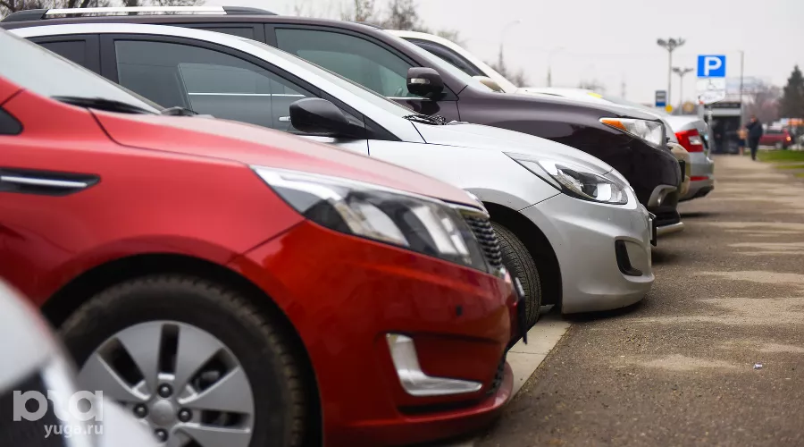  &copy;&nbsp;Фото Елены Синеок, Юга.ру