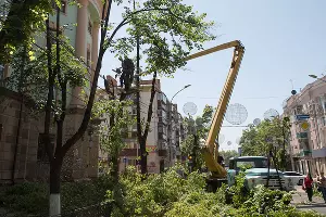 Спил деревьев на ул. Красной в Краснодаре &copy;&nbsp;Михаил Ступин, ЮГА.ру
