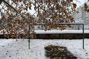 Снег в Краснодаре &copy;&nbsp;Фото Валерии Дульской, Юга.ру