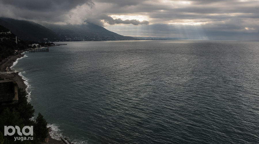  © Фото Елены Синеок, Юга.ру