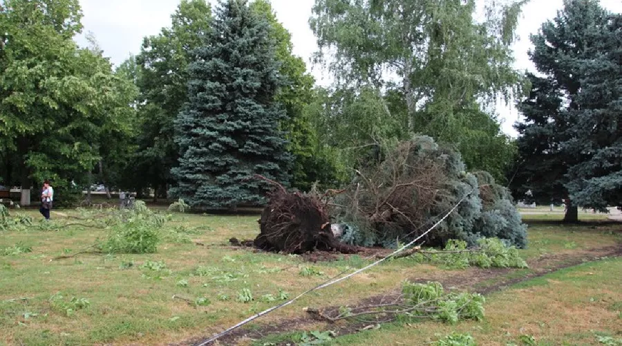  &copy;&nbsp;Фото пресс-службы администрации Тимашевского района