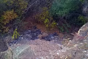  &copy;&nbsp;Фото пресс-службы ОНФ