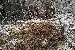  © Фото пресс-службы Кавказского заповедника