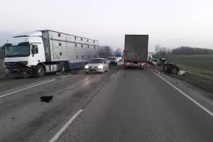  &copy;&nbsp;Фото отдела пропаганды БДД УГИБДД ГУ МВД России по Краснодарскому краю