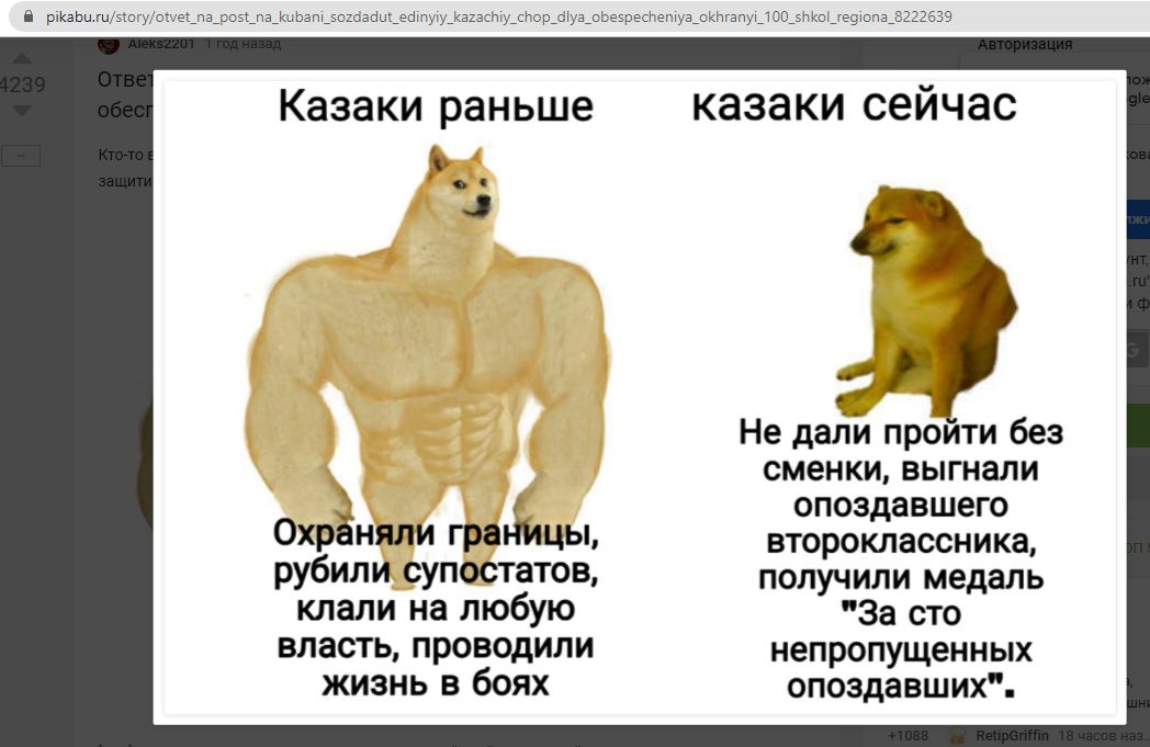  © Скриншот фото с сайта pikabu.ru