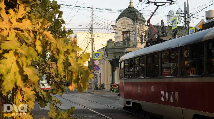  &copy;&nbsp;Фото Марины Солошко, Юга.ру