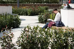 Парк «Краснодар»  &copy;&nbsp;Фото Елены Синеок, Юга.ру