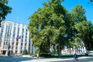  &copy;&nbsp;Фото Дмитрия Пославского, Юга.ру