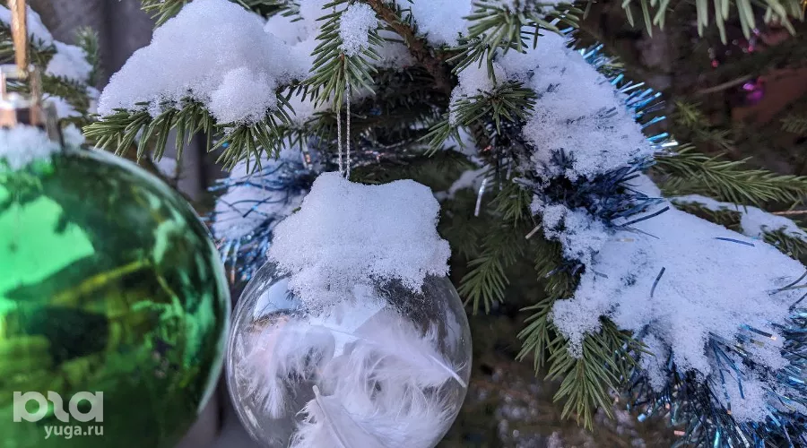  &copy;&nbsp;Фото Александры Прохоренковой-Аксёновой, Юга.ру