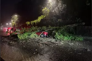  &copy;&nbsp;Скриншот из телеграм-канала &laquo;Погода в Сочи&raquo; https://t.me/sochi_pogoda23/2083