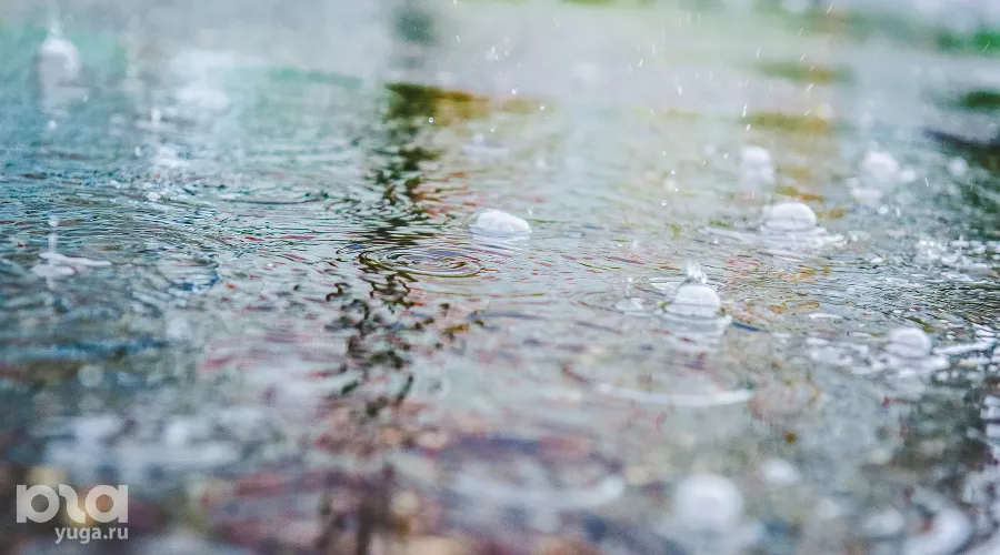  &copy;&nbsp;Фото Елены Синеок, Юга.ру