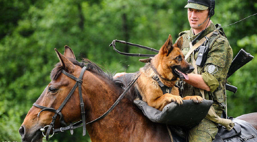  &copy;&nbsp;Фото Нины Зотиной, Юга.ру