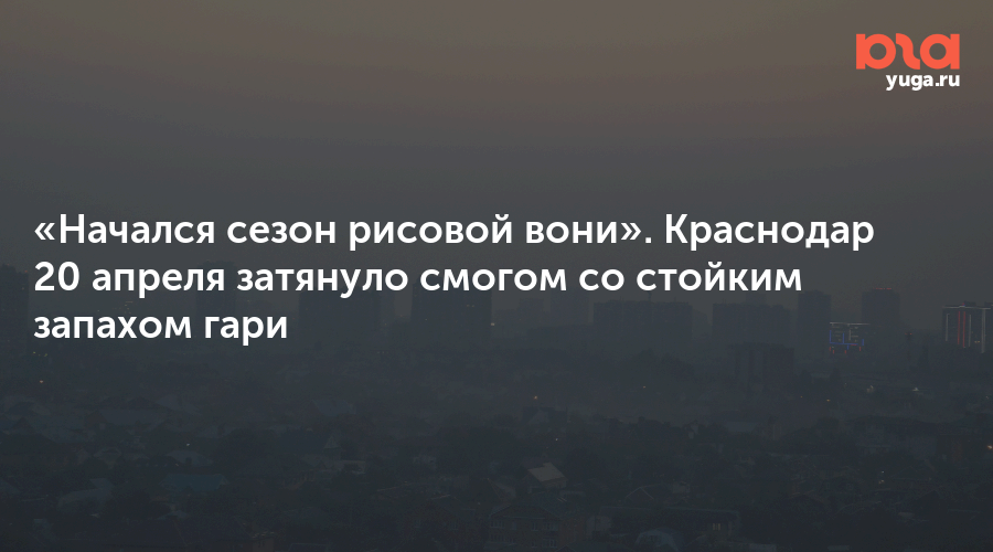 «Начался сезон рисовой вони». Краснодар 20 апреля затянуло смогом со стойким запахом гари
