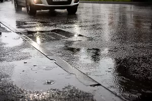  &copy;&nbsp;Фото Елены Синеок, Юга.ру