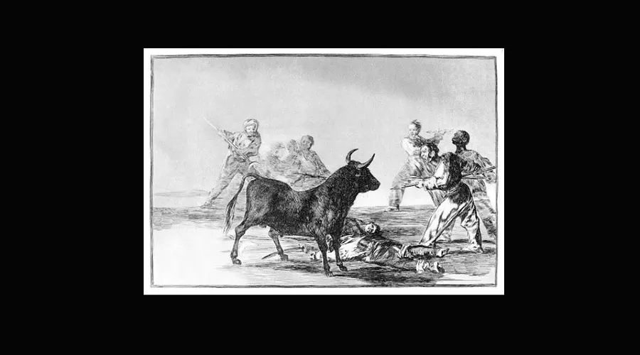  &copy;&nbsp;Скриншот из электронного письма от пресс-службы Краснодарского музея имени Коваленко