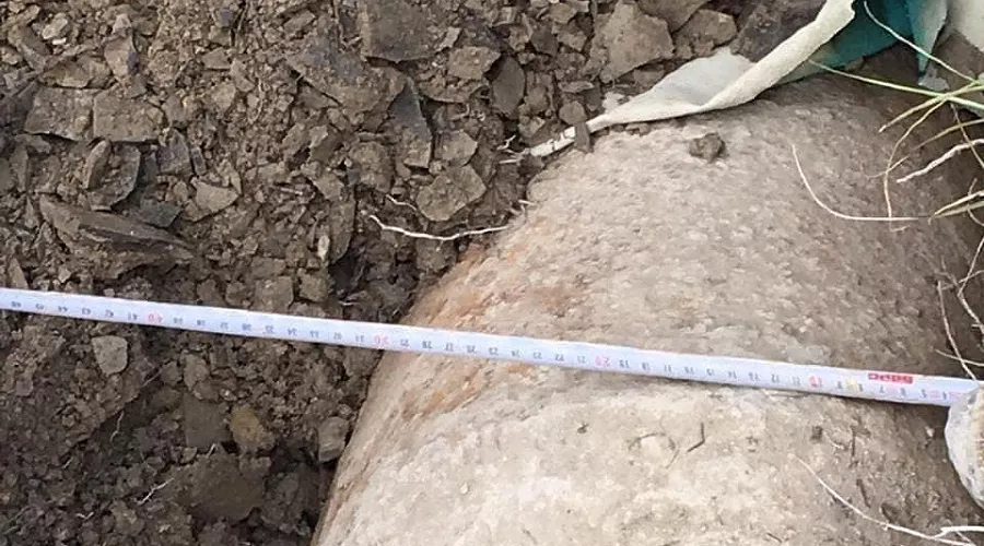  &copy;&nbsp;Фото из инстаграма Натальи Майоровой, instagram.com/nataliy_mayorova