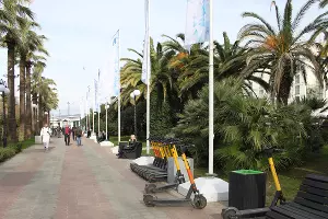  &copy;&nbsp;Фото Марины Солошко, Юга.ру