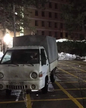 Машина Колосовых, запечатленная камерой видеонаблюдения возле места умерщвления собак, фото предоставлено Еленой Наседкиной