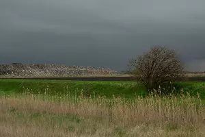 Свалка в Полтавской &copy;&nbsp;Фото Александра Гончаренко, Юга.ру