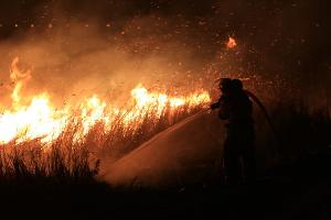Пожар в плавнях Анапы © Фото пресс-службы администрации Анапы