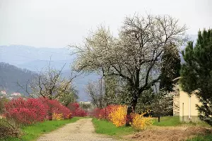  &copy;&nbsp;Фото пресс-службы МУП Сочи &laquo;Водоканал&raquo;