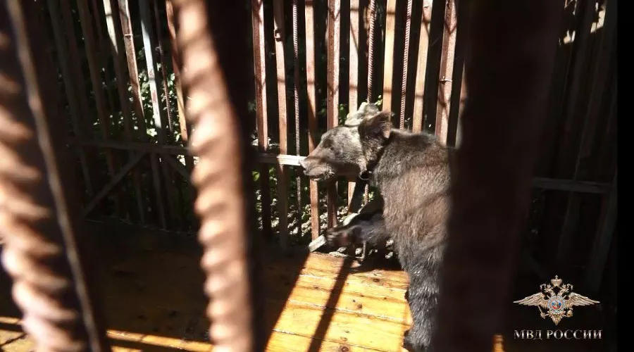  &copy;&nbsp;Фото пресс-службы ГУ МВД России по Ростовской области