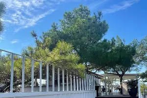  &copy;&nbsp;Фото Оксаны Ауловой