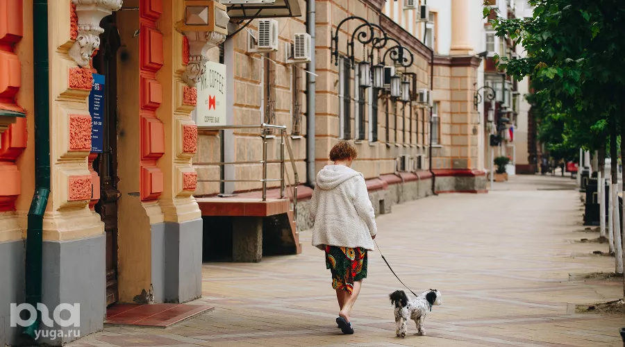  &copy;&nbsp;Фото Дениса Яковлева, Юга.ру