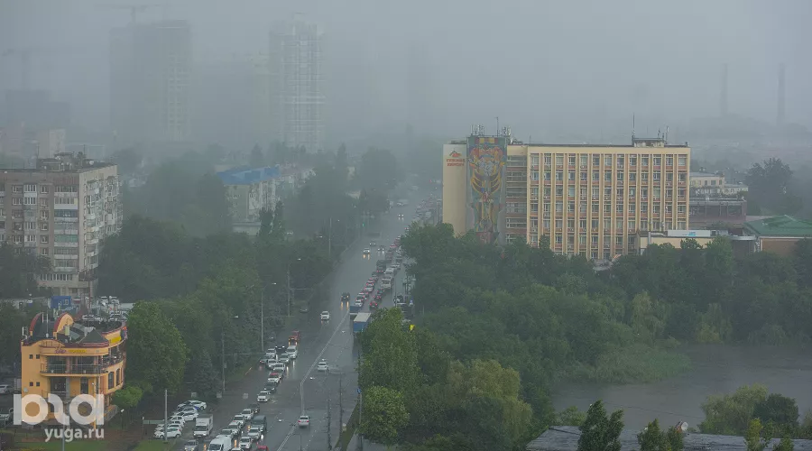  &copy;&nbsp;Фото Елены Синеок, Юга.ру