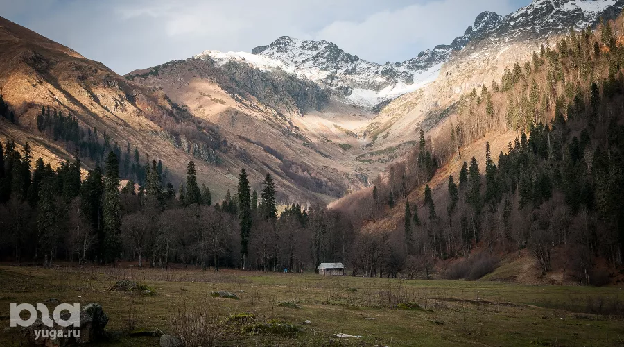  &copy;&nbsp;Фото Елены Синеок, Юга.ру