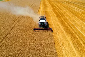  &copy;&nbsp;Фото пресс-службы компании &laquo;Югпром&raquo;