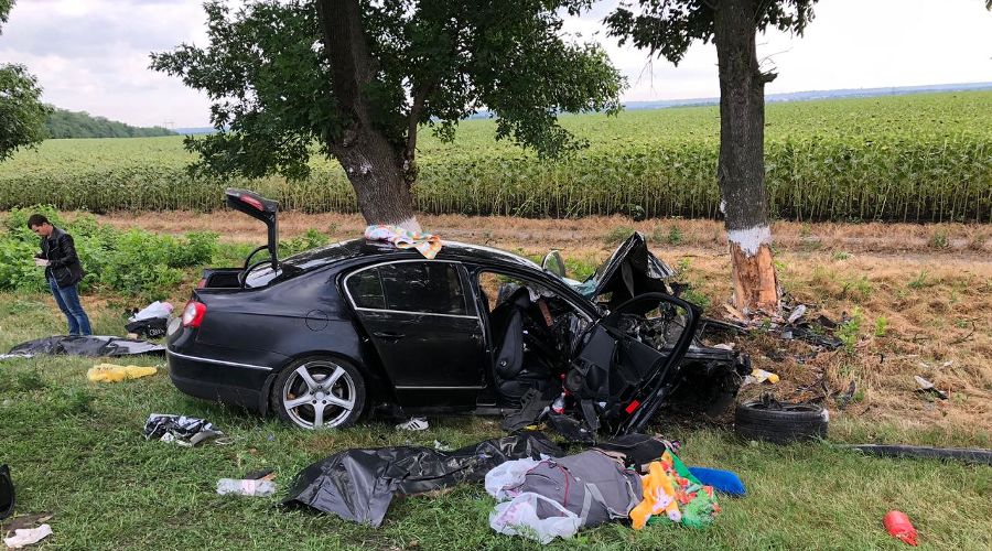  © Фото пресс-службы ГУ МВД России по Краснодарскому краю