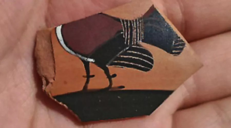 Фрагмент чернофигурного сосуда - килика - работы мастерской Тлесона из Афин &copy;&nbsp;Фото предоставлено пресс-службой Фонда &laquo;Вольное Дело&raquo;