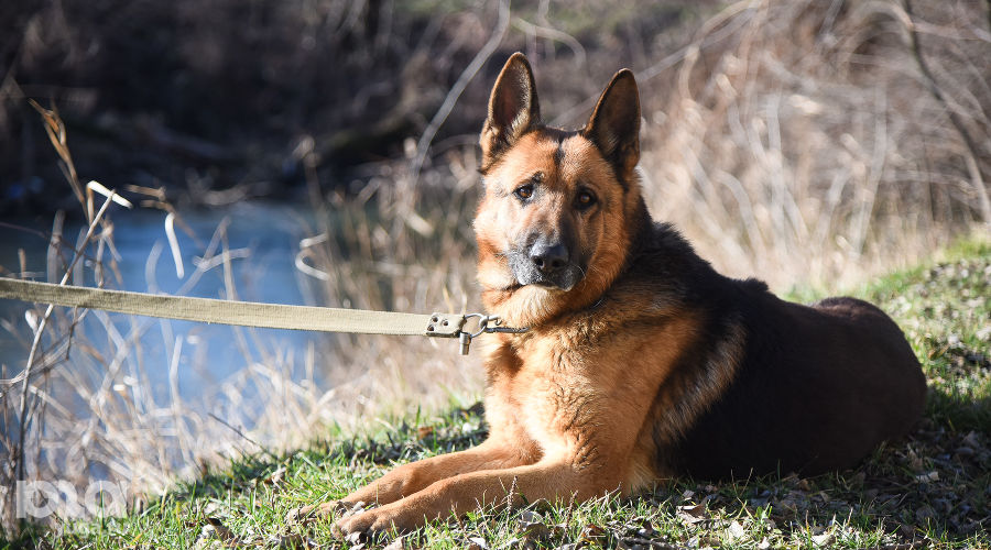  © Елена Синеок, ЮГА.ру