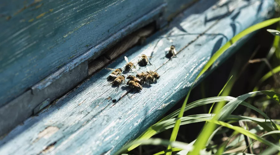  &copy;&nbsp;Фото пользователя freepik с сайта freepik.com