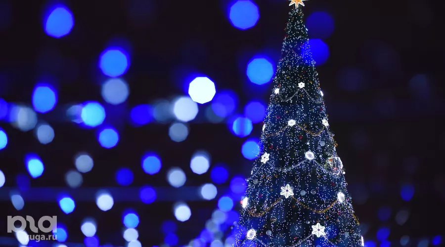  &copy;&nbsp;Фото Елены Синеок, Юга.ру