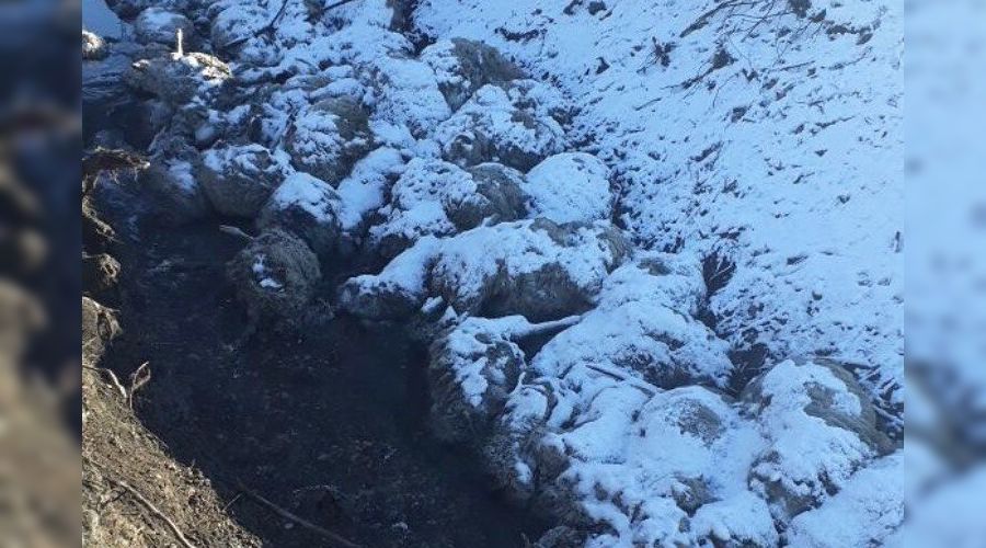  © Фото из группы vk.com/chp_vladikavkaz