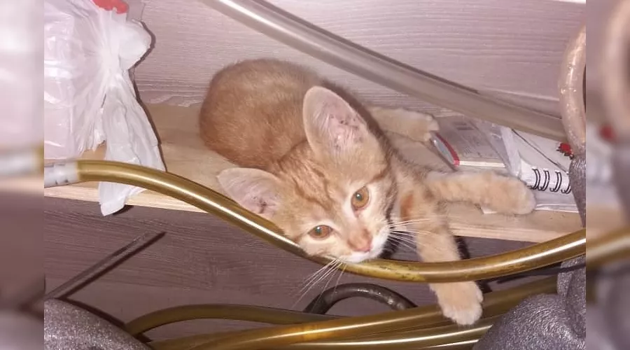  &copy;&nbsp;Фото со страницы instagram.com/pivbar_cccp