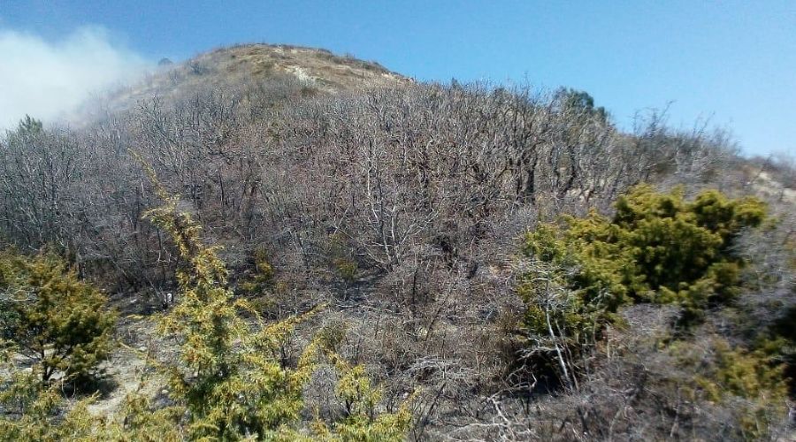  © Фото пресс-службы ГУ МЧС России по Краснодарскому краю