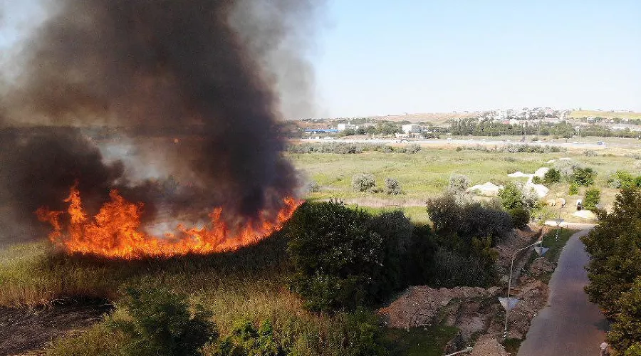  &copy;&nbsp;Фото со страницы instagram.com/cheh_rodion