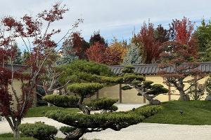 Японский сад в парке «Краснодар» осенью © Фото Марины Солошко, Юга.ру