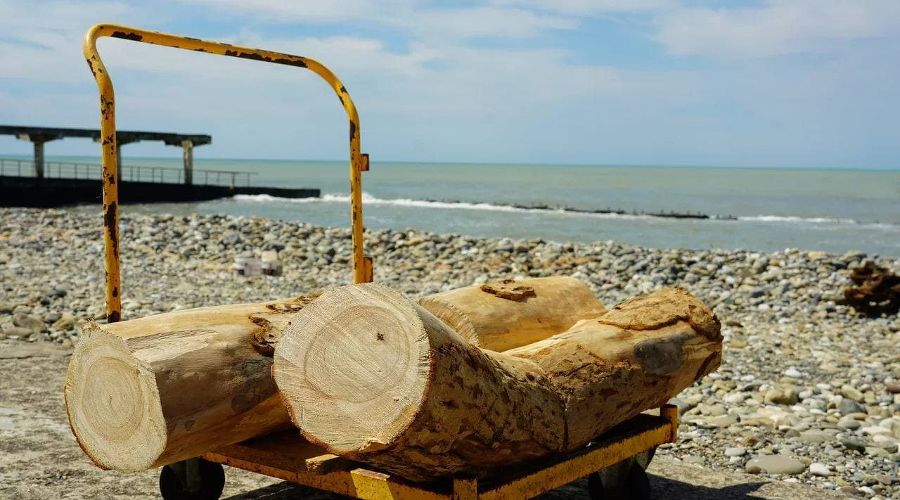  © Фото пресс-службы мэрии Сочи